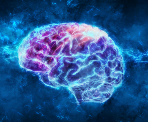 Blue and purple brain