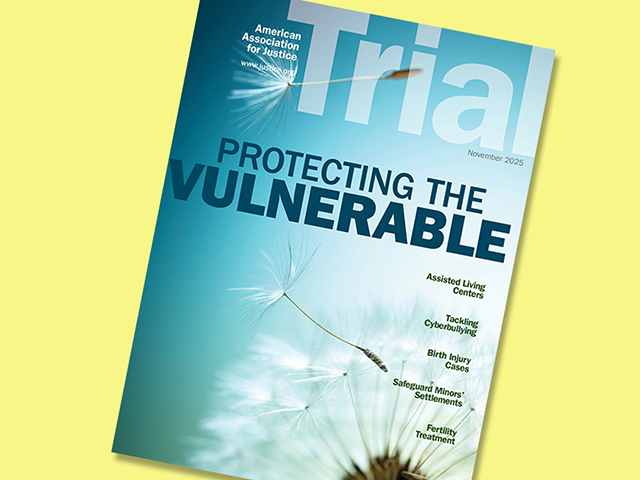 Trial Magazine November 2025 Protecting the Vulnerable